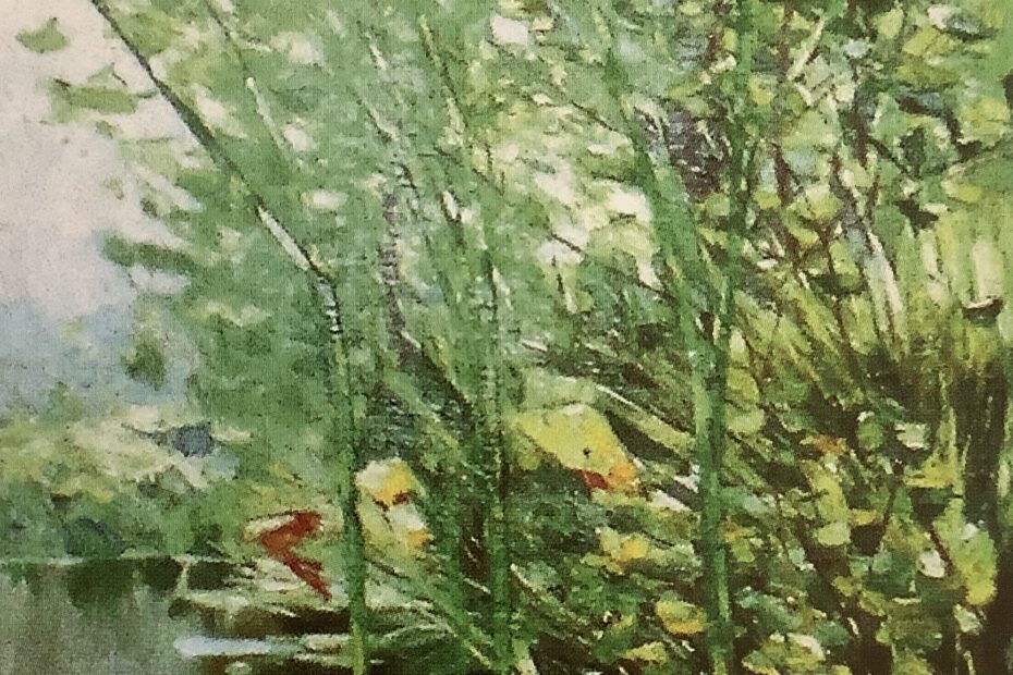 Seeufer mit Seerosen und Schilfgewächsen, um 1888