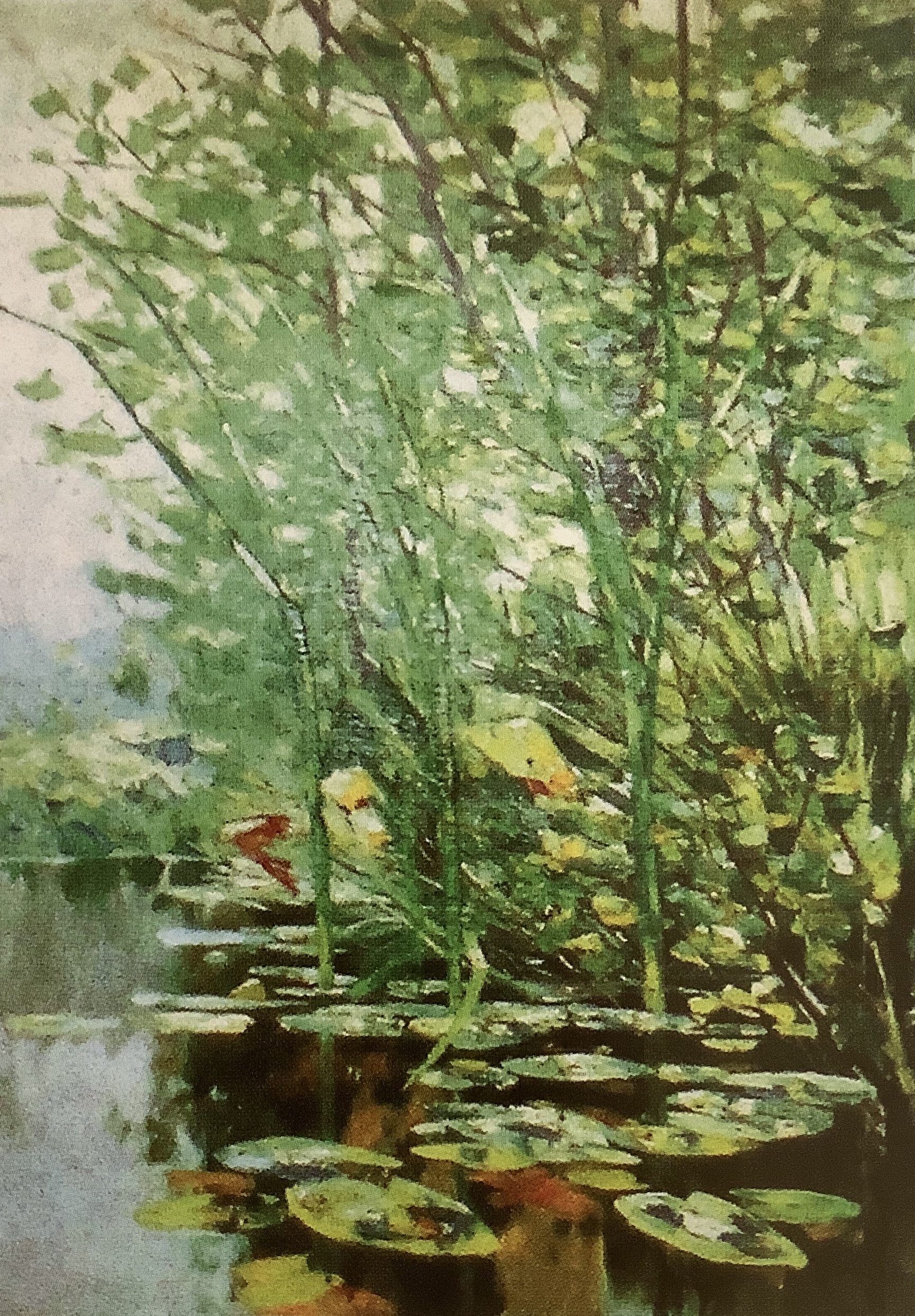 Seeufer mit Seerosen und Schilfgewächsen, um 1888