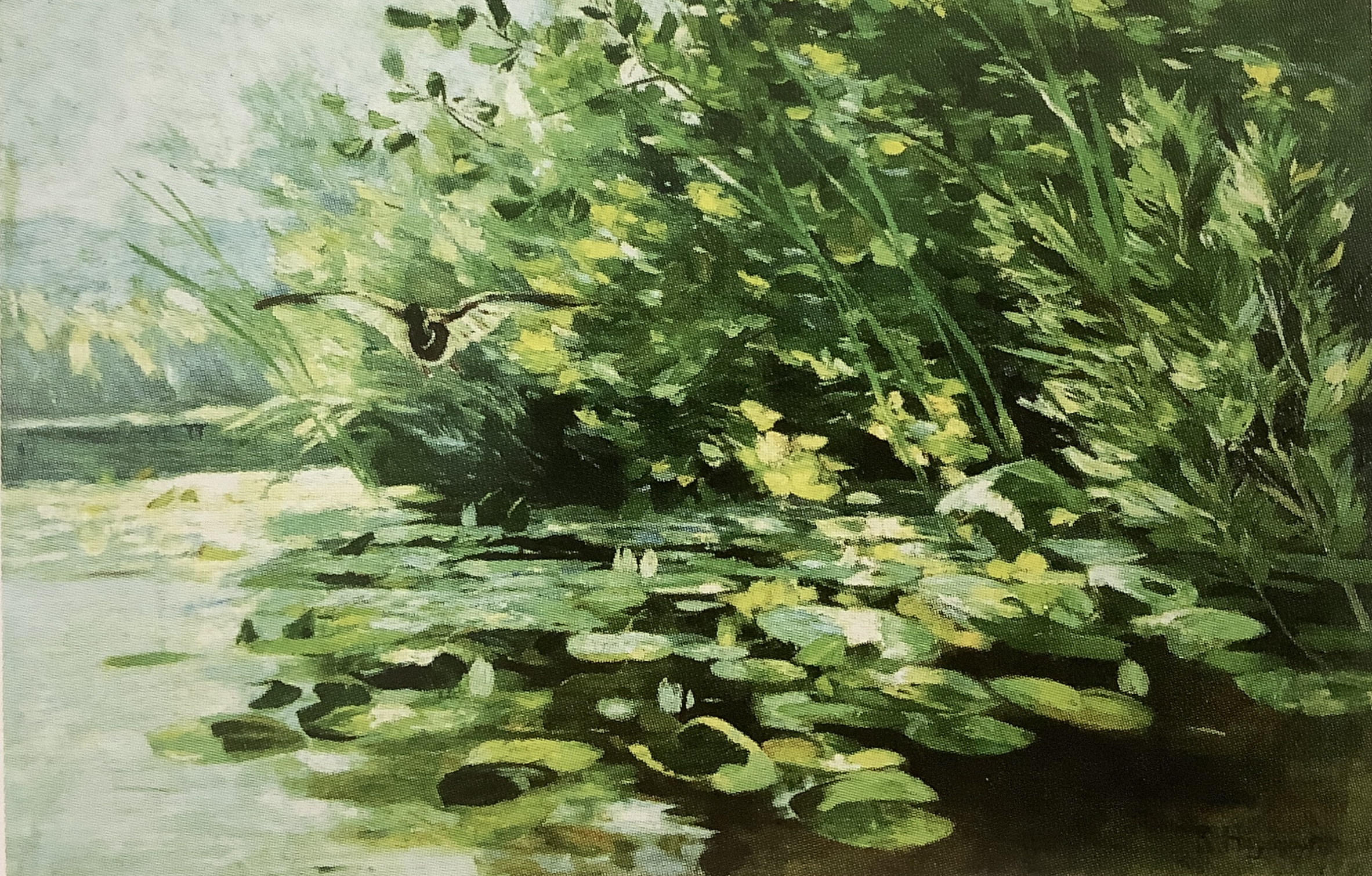 Teich in der Mark mit auffliegender Ente, um 1891