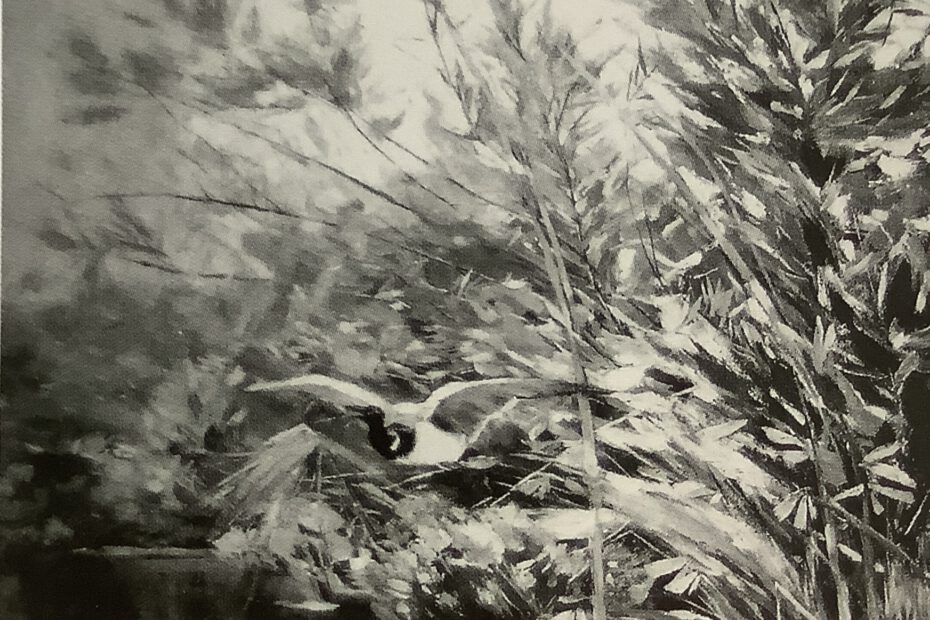 Teichlandschaft mit Wildente (Am Schlif), 1891
