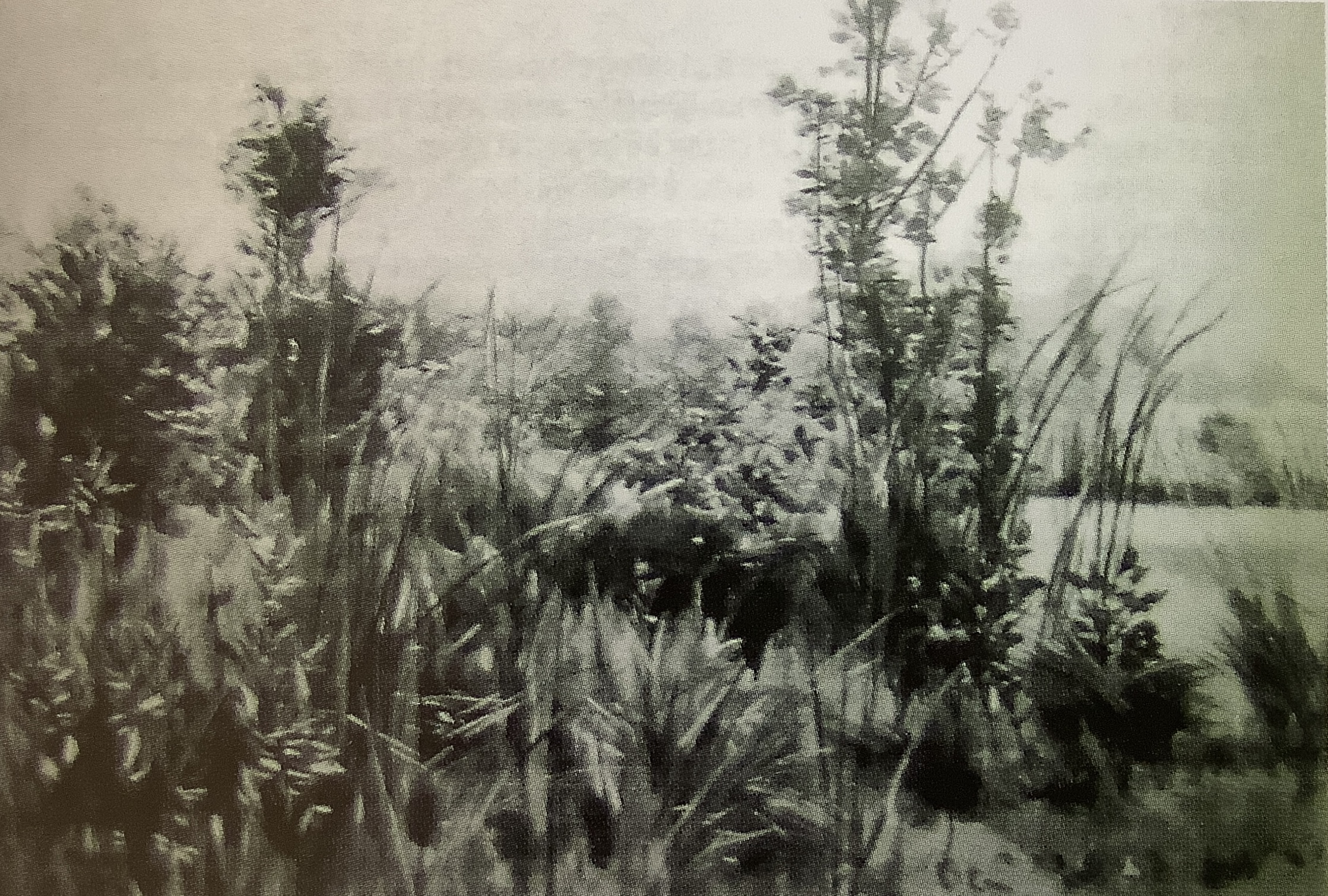 Teichwinkel im Entenphul, um 1885