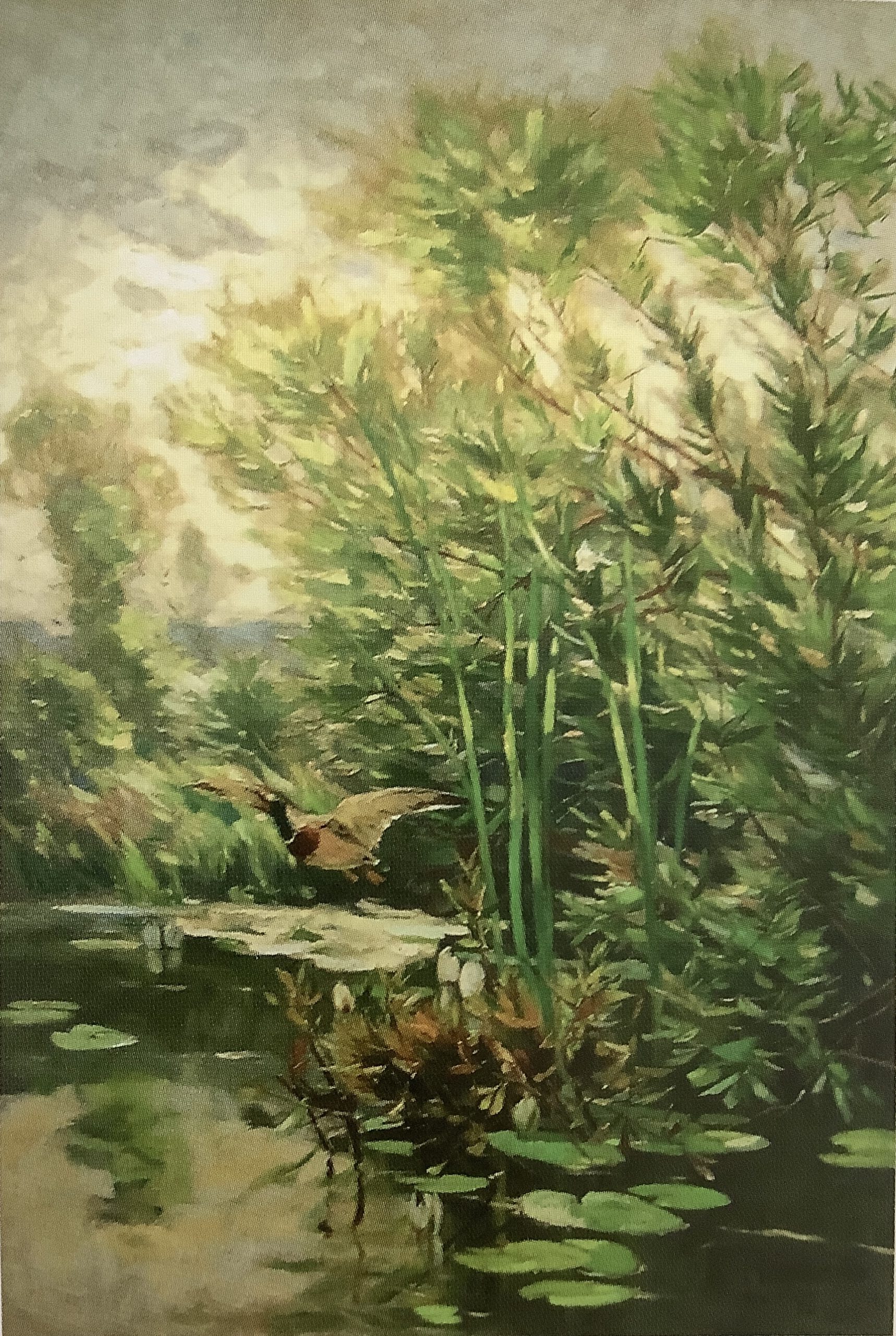 Uferlandschaft (Schilfufer mit auffliegender Stockente), um 1892 Uferlandschaft (Schilfufer mit auffliegender Stockente), um 1892