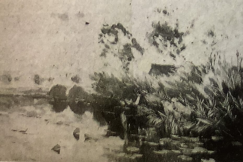 Uferlandschaft mit hohem Schilf und Angler, um 1886