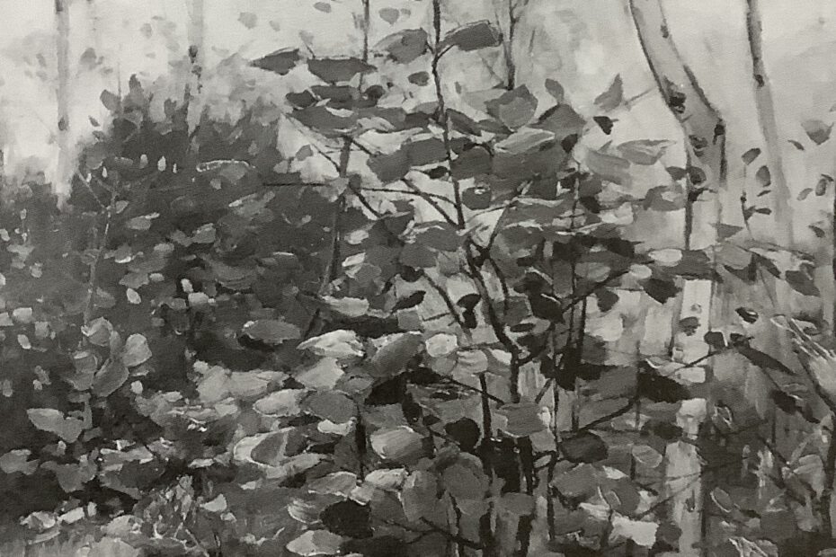 Waldinneres mit Birken und Pilzen (Studie in einem Birkenwäldchen), um 1891