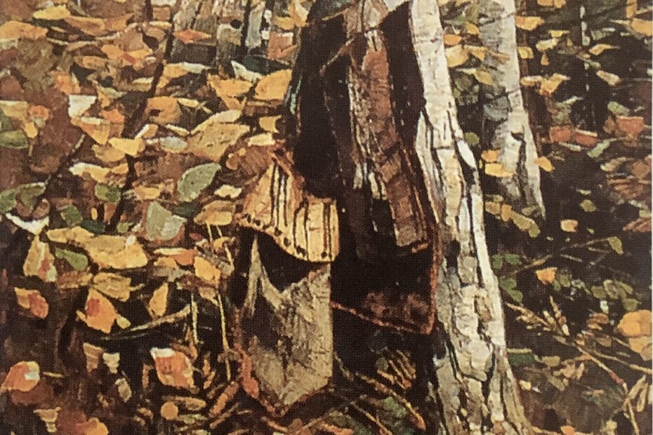 Waldstück, um 1886