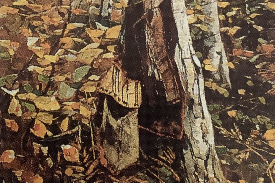 Waldstück, um 1886
