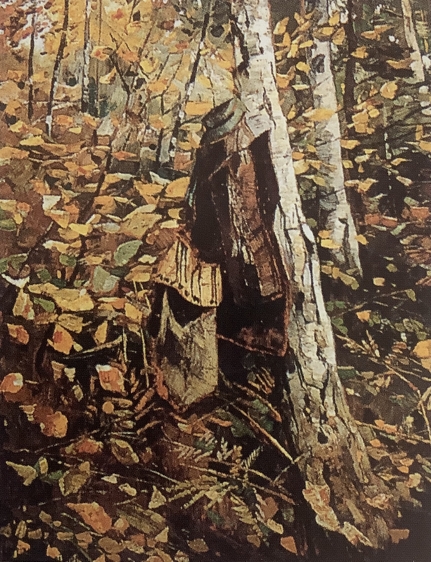 Waldstück, um 1886