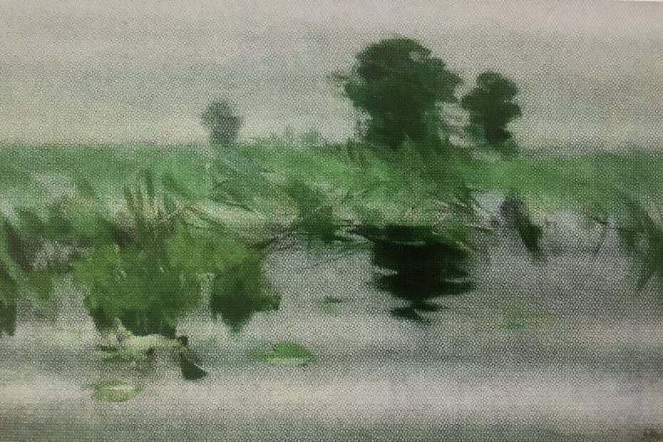 Wiese am Wasser, um 1892