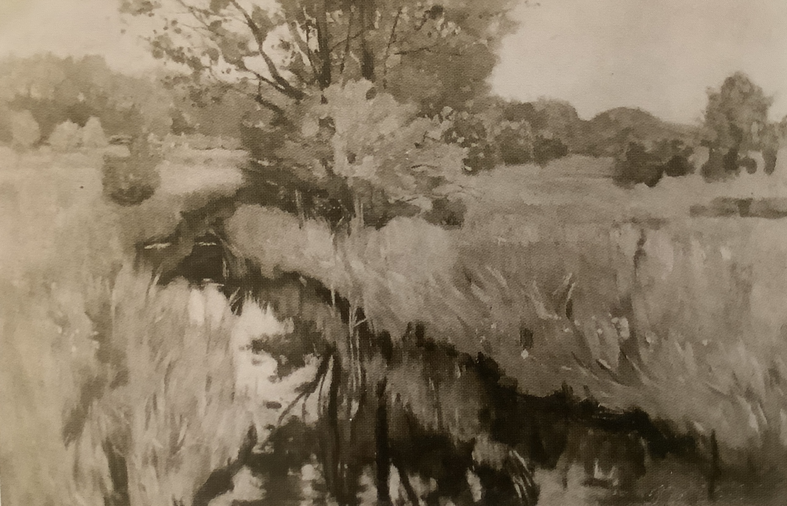 Wiesenbach II, um 1888