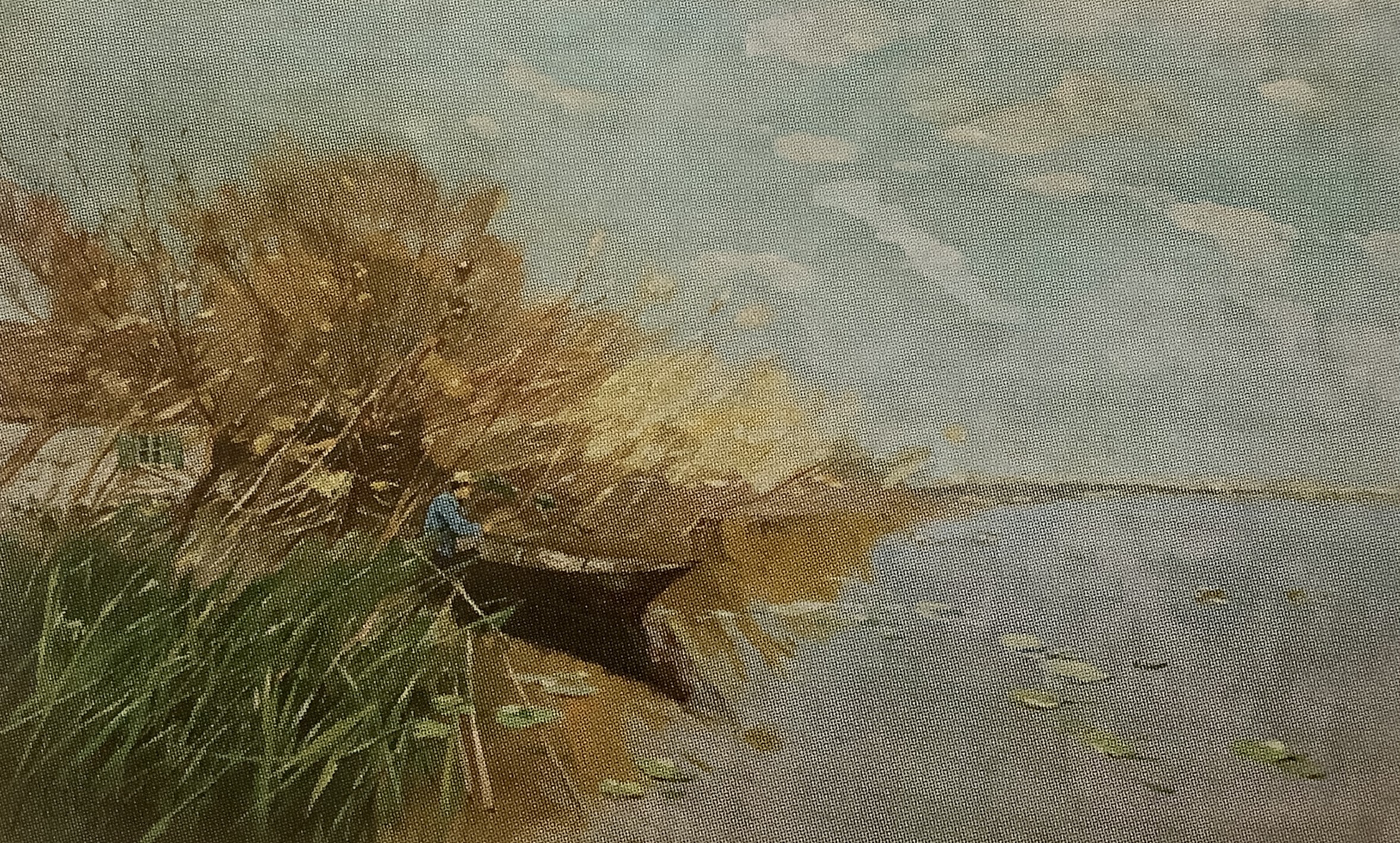Angler am Ufer des Schwielowsee, 1897 Angler am Ufer des Schwielowsee, 1897