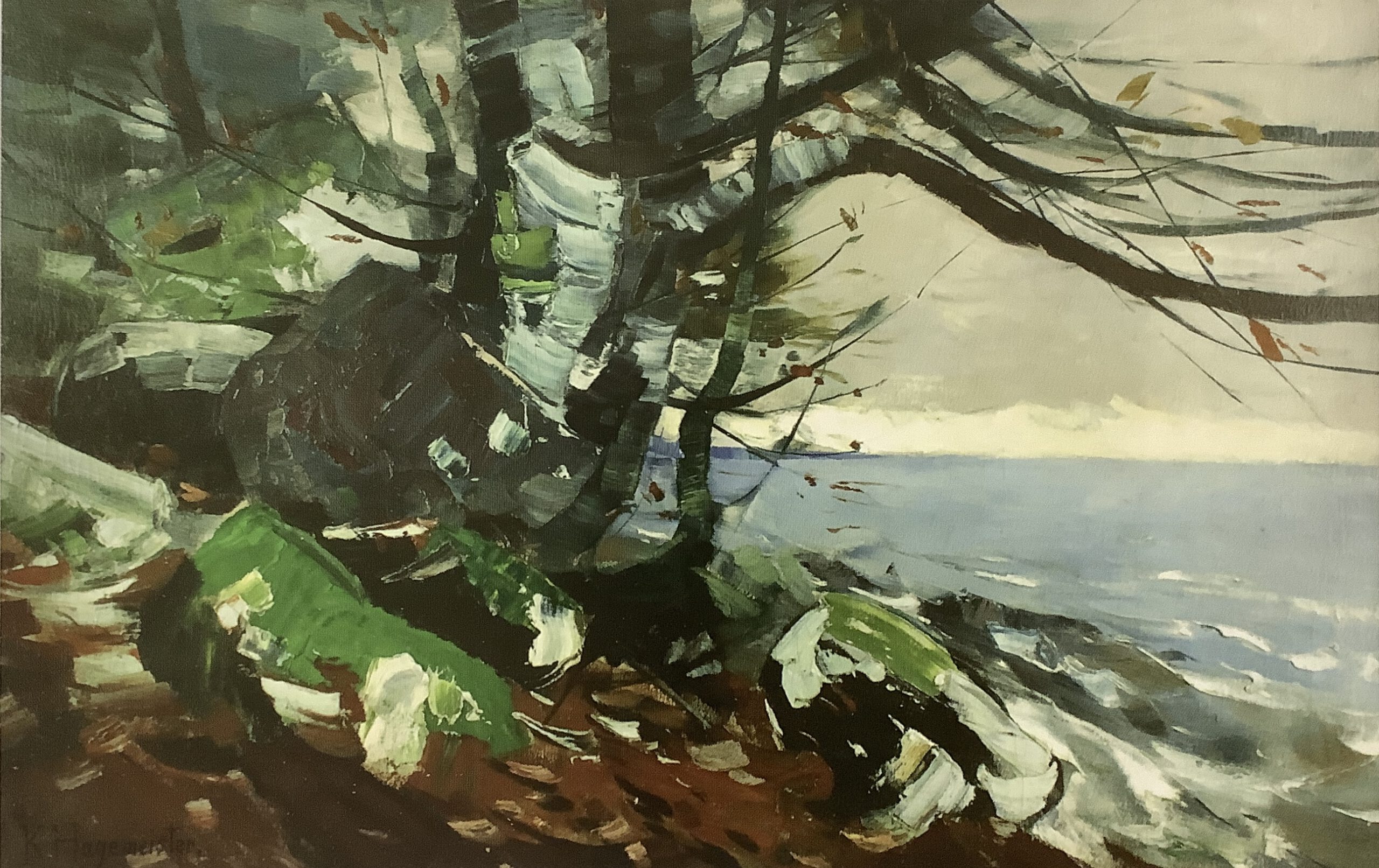 Bäume am Seeufer (Lohme auf Rügen), um 1915