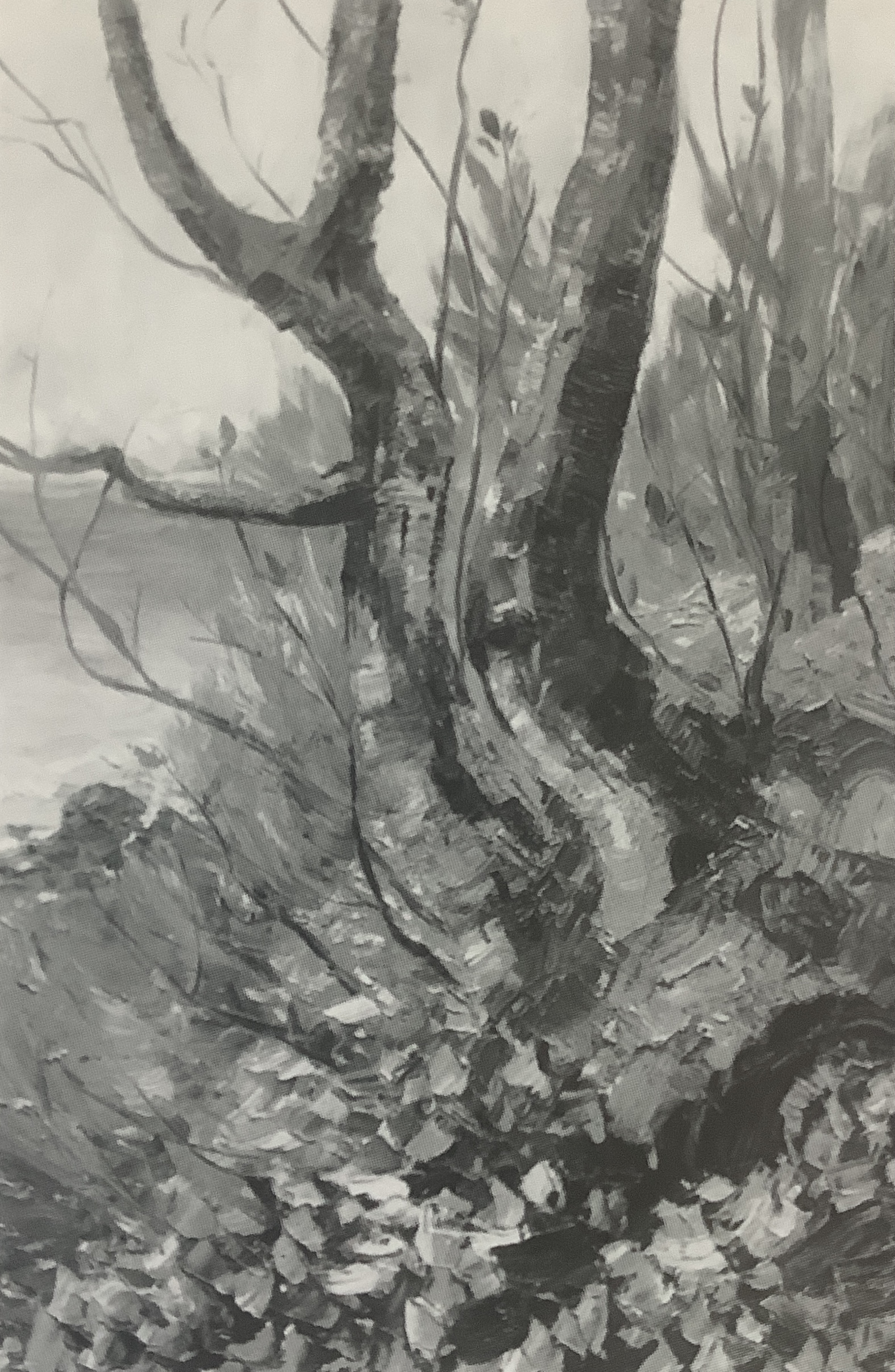 Bäume am Ufer, um 1912
