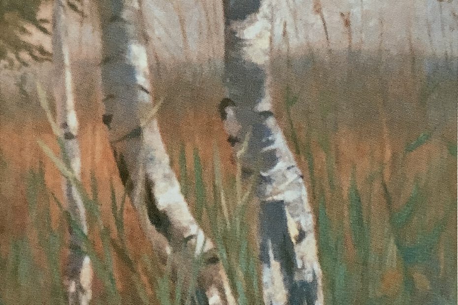 Birken im hohen Gras, um 1905