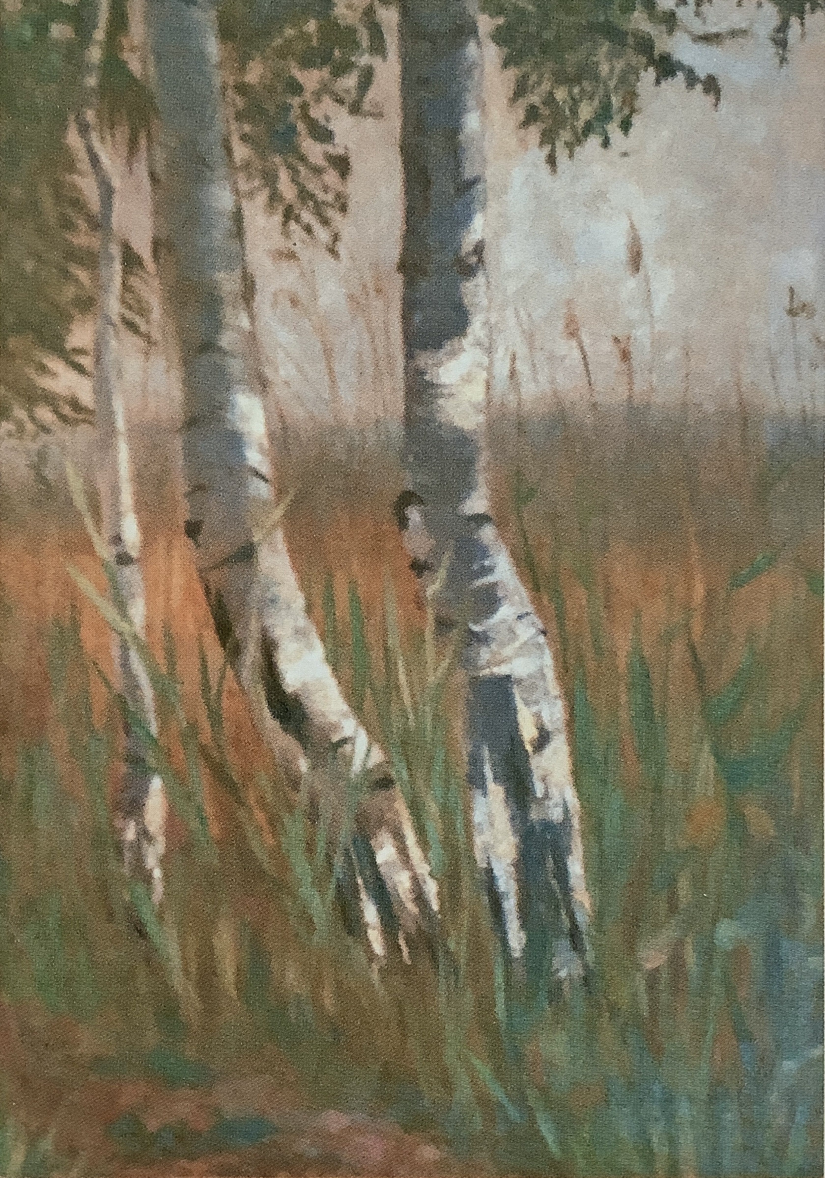 Birken im hohen Gras, um 1905