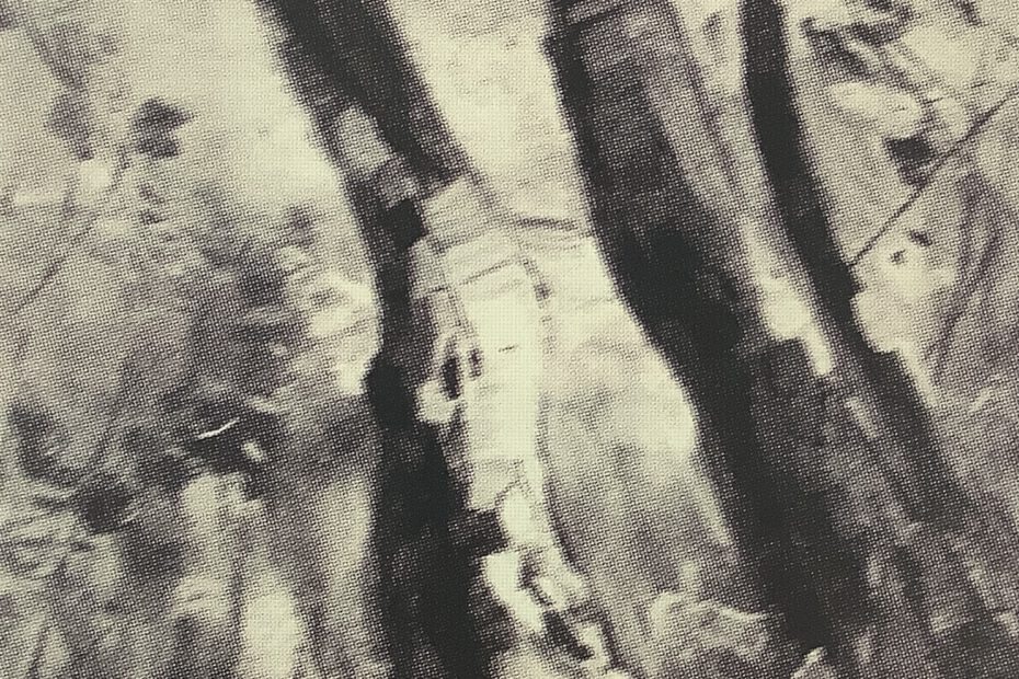 Birkenstämme im hohen Gras, 1912