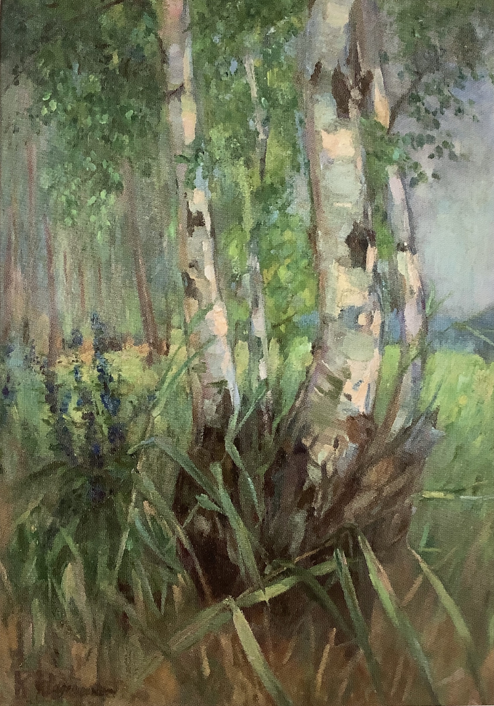 Birkenstämme, um 1905