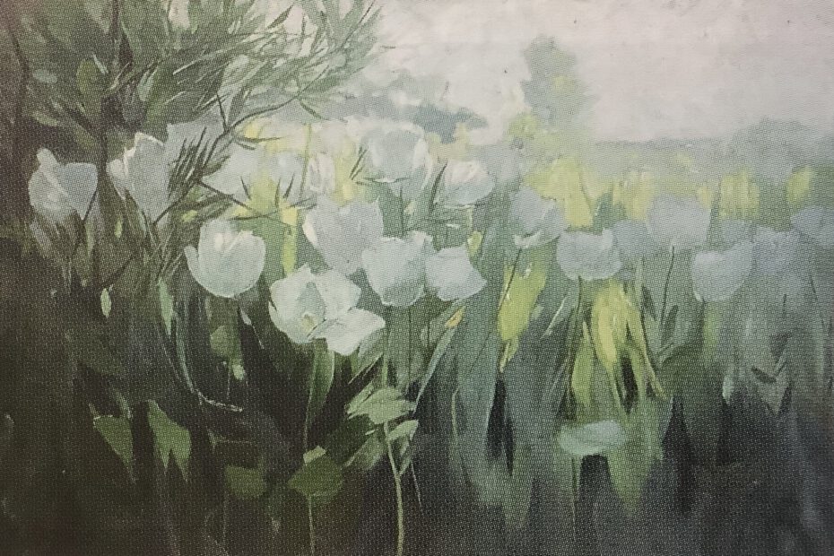 Blühender weißer Mohn, 1910