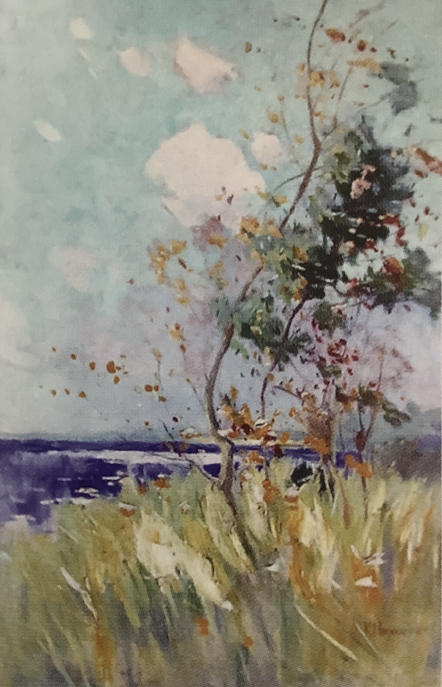 Havellanschaft II, um 1908
