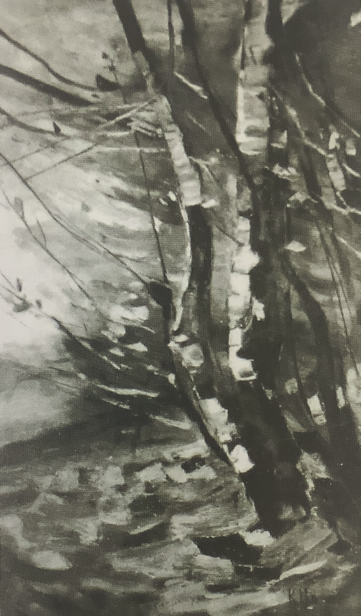 Herbstbäume, 1912