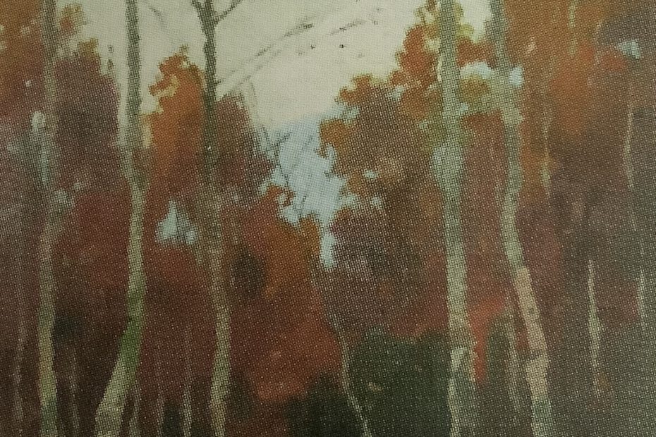Herbstlicher Birkenwald, um 1900
