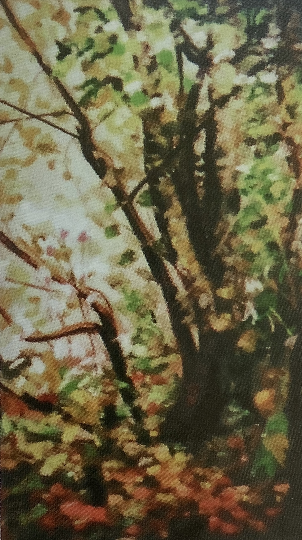 Herbstlicher Birkenwald, um 1908