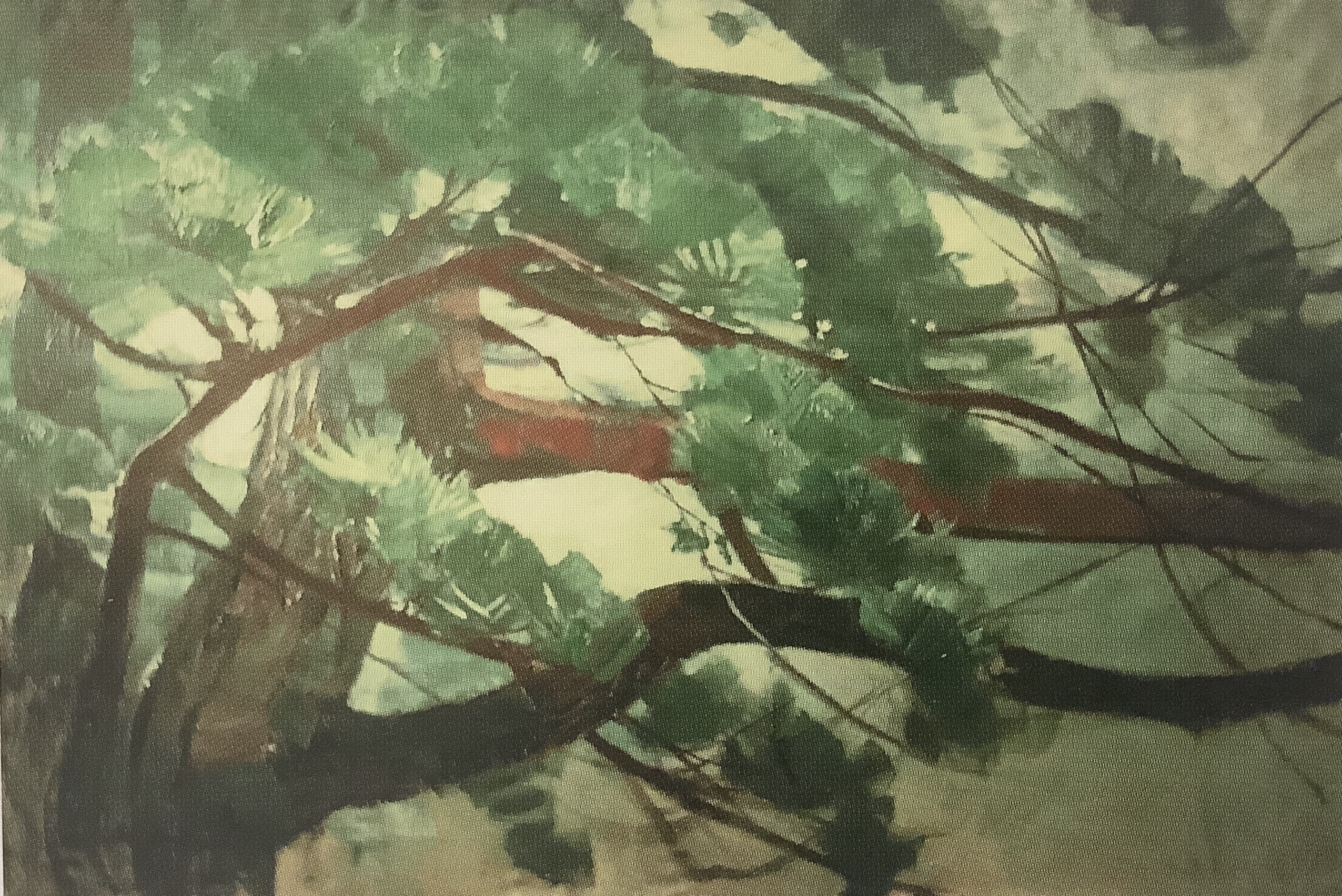 Kiefernzweige III, 1911
