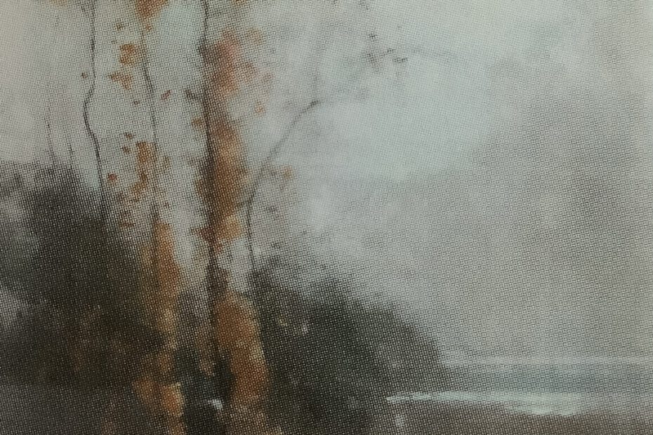 Moorlandscaft, um 1900