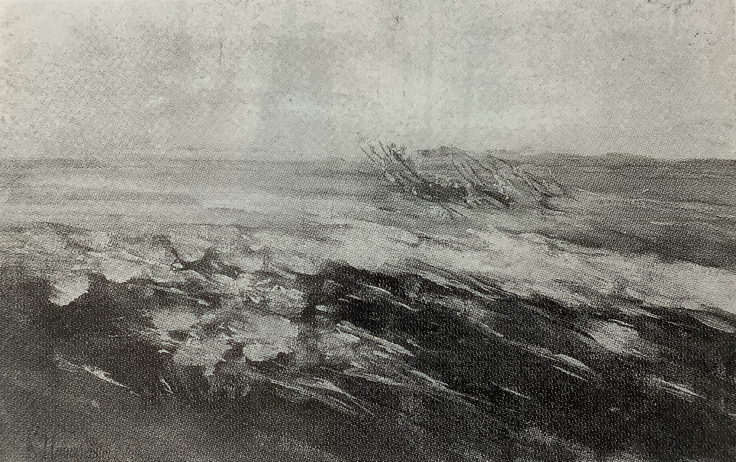Schilf im Wind, um 1907