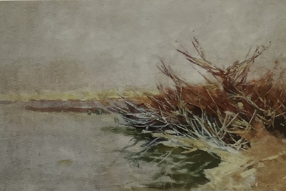 Schilfgestrüpp am Ufer des Schwielowsees, 1903
