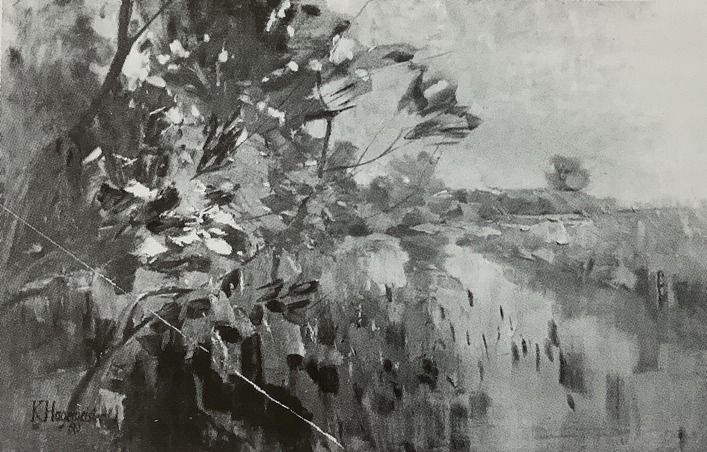 Seelandschaft bei Ferch, 1910