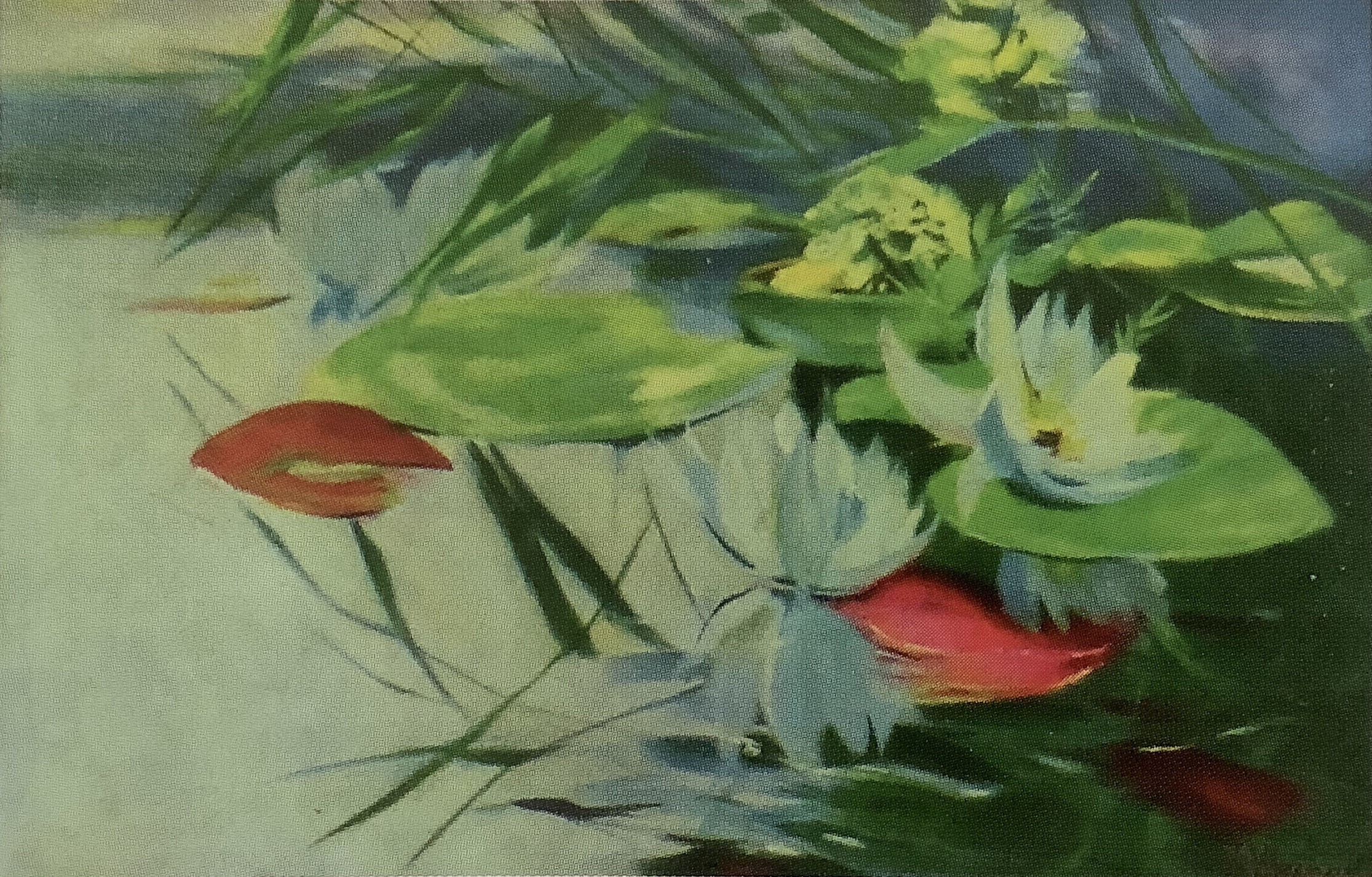 Seerosen, um 1897