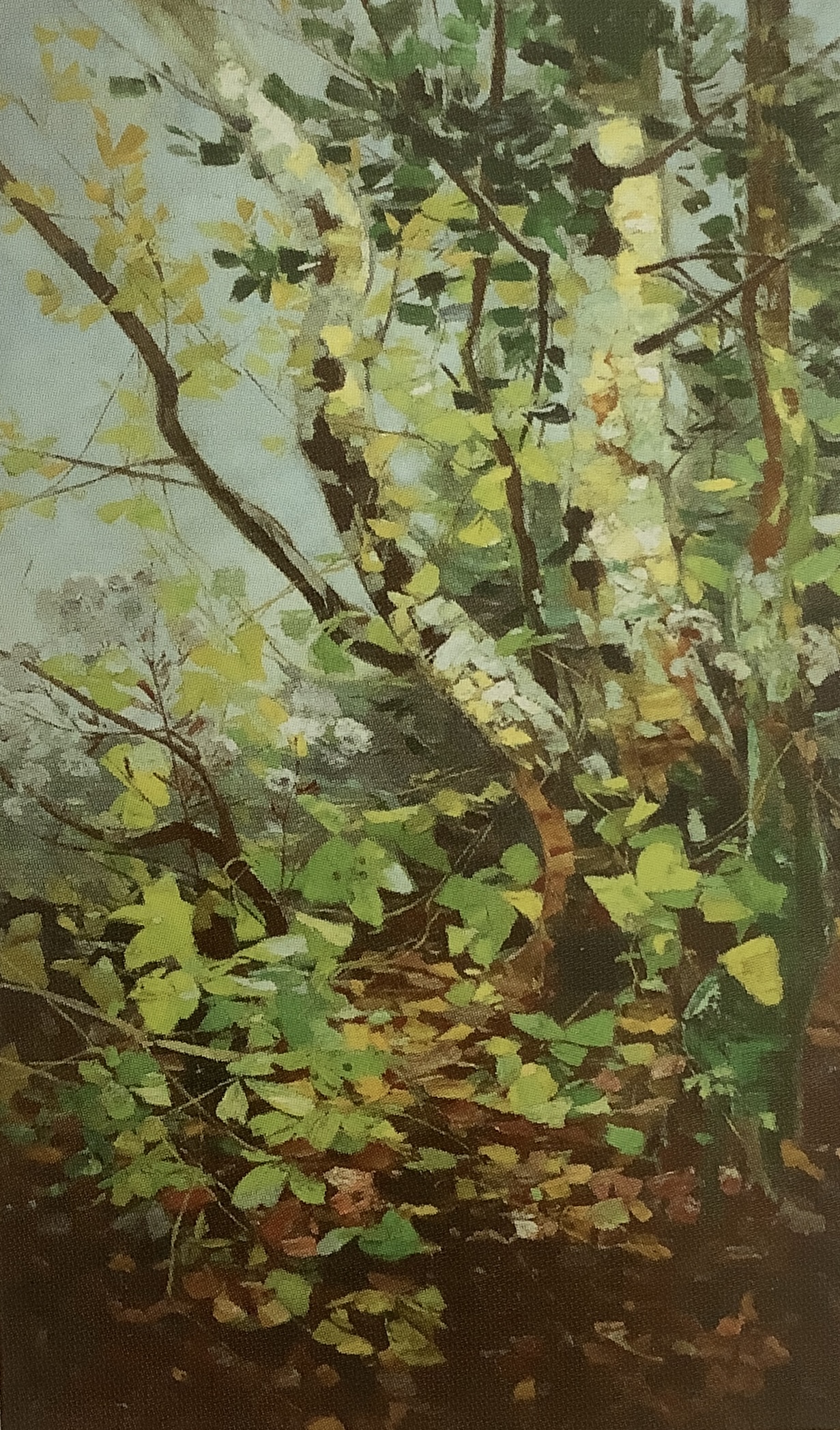 Sommer, 1908 Sommer, 1908