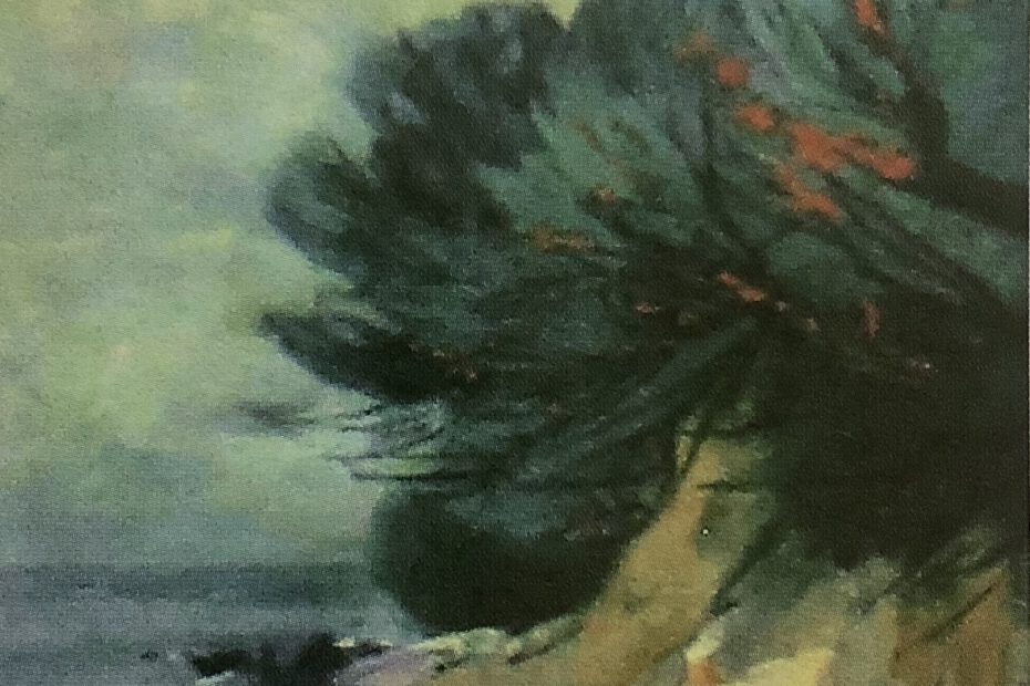 Steilküste auf Rügen, um 1914