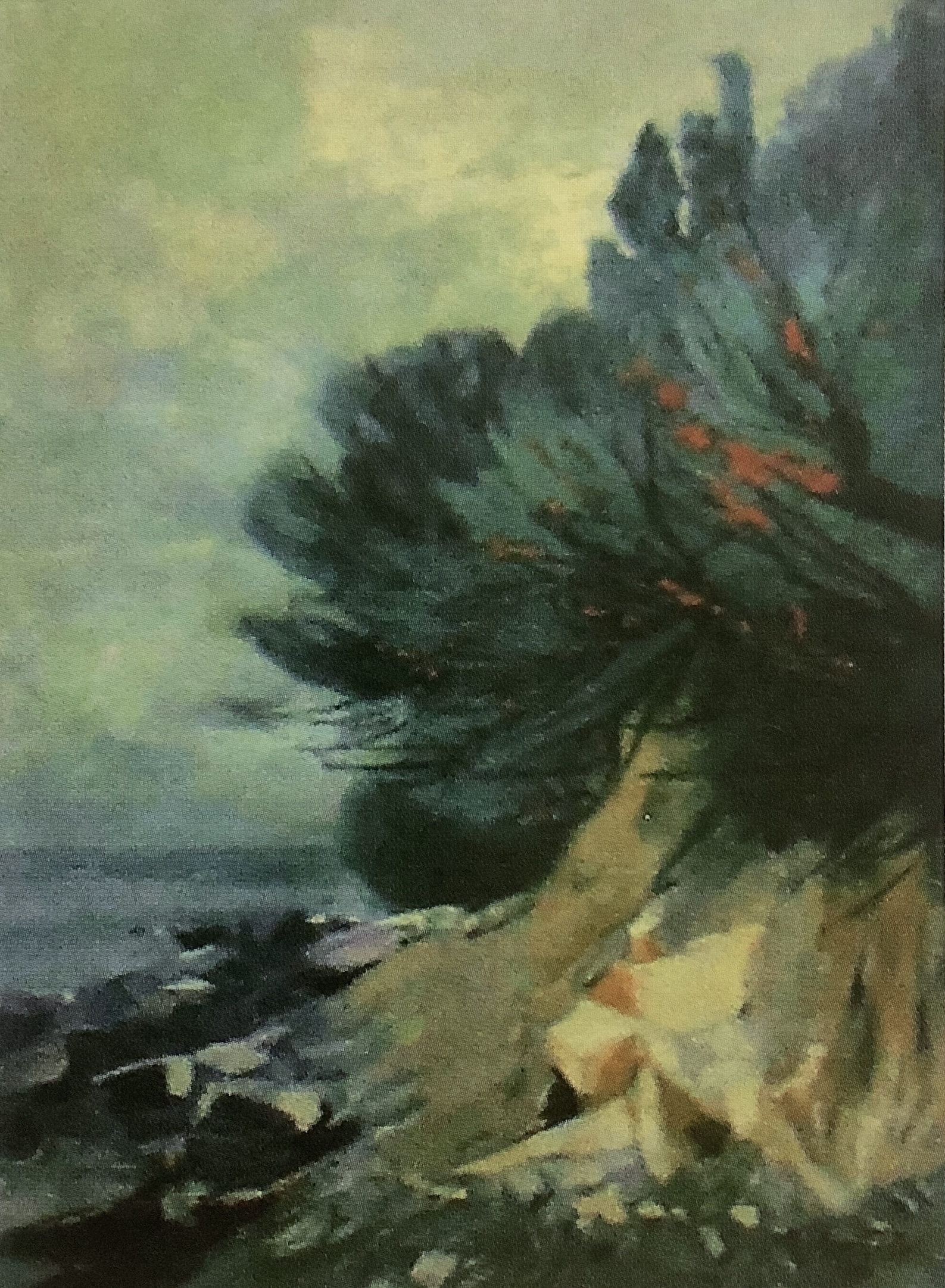 Steilküste auf Rügen, um 1914