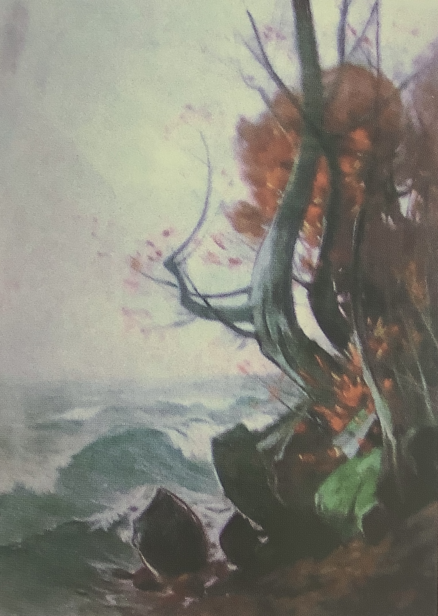 Strandbild mit Buche - Herbststimmung auf Rügen, um 1912