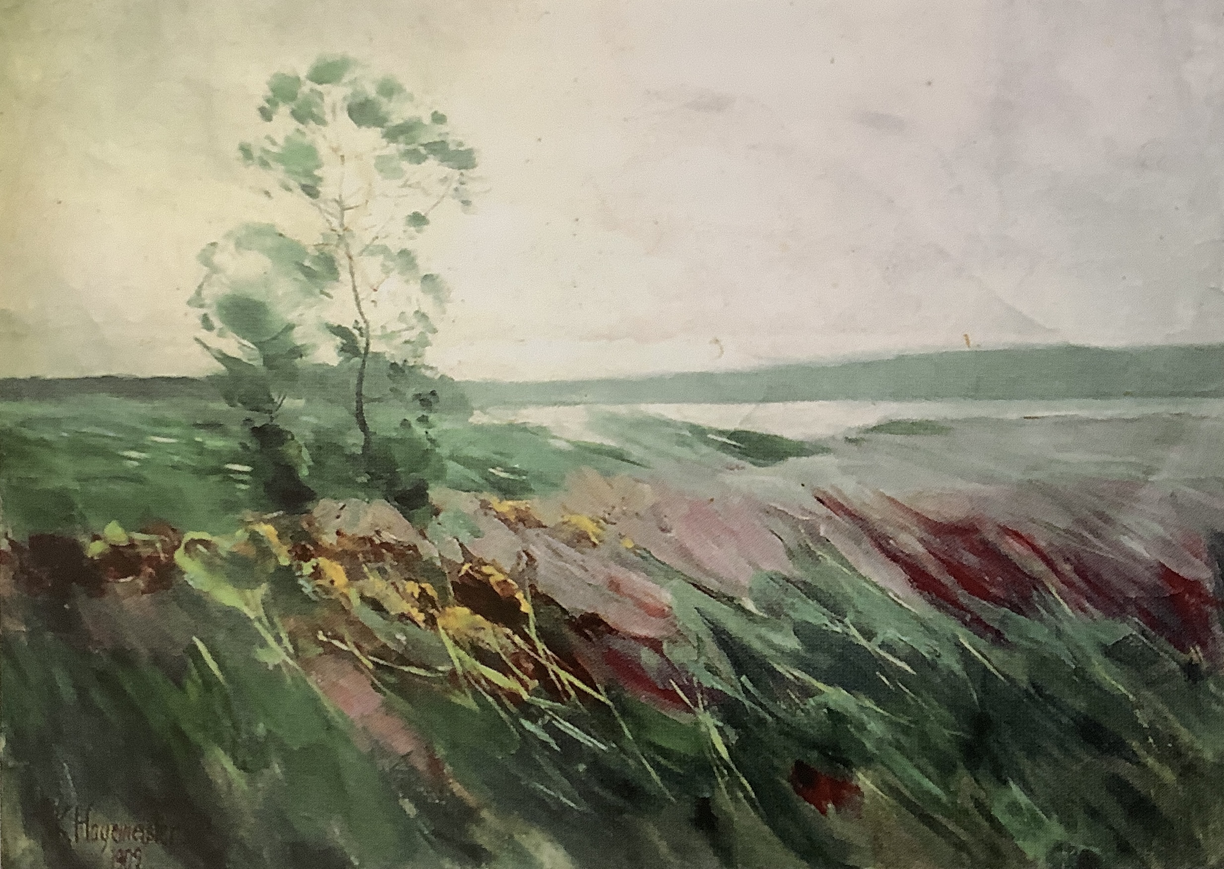 Überwehte Wiesenlandschaft am Ufer eines märkischen Sees, 1909
