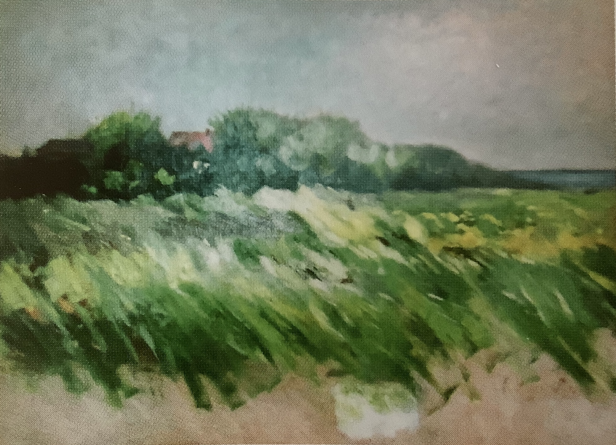 Überwehte Wiesenlandschaft mit märkischem Dorf, um 1895