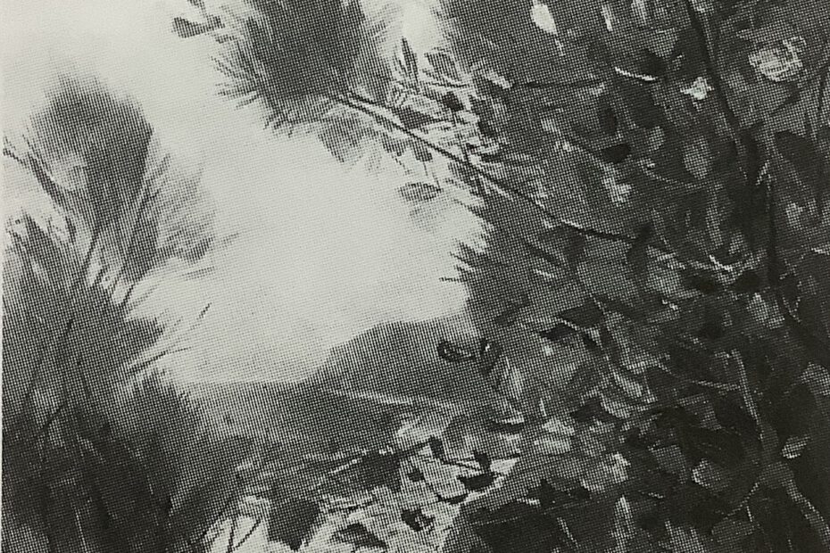 Uferpartie (Stubbenkammer), um 1914