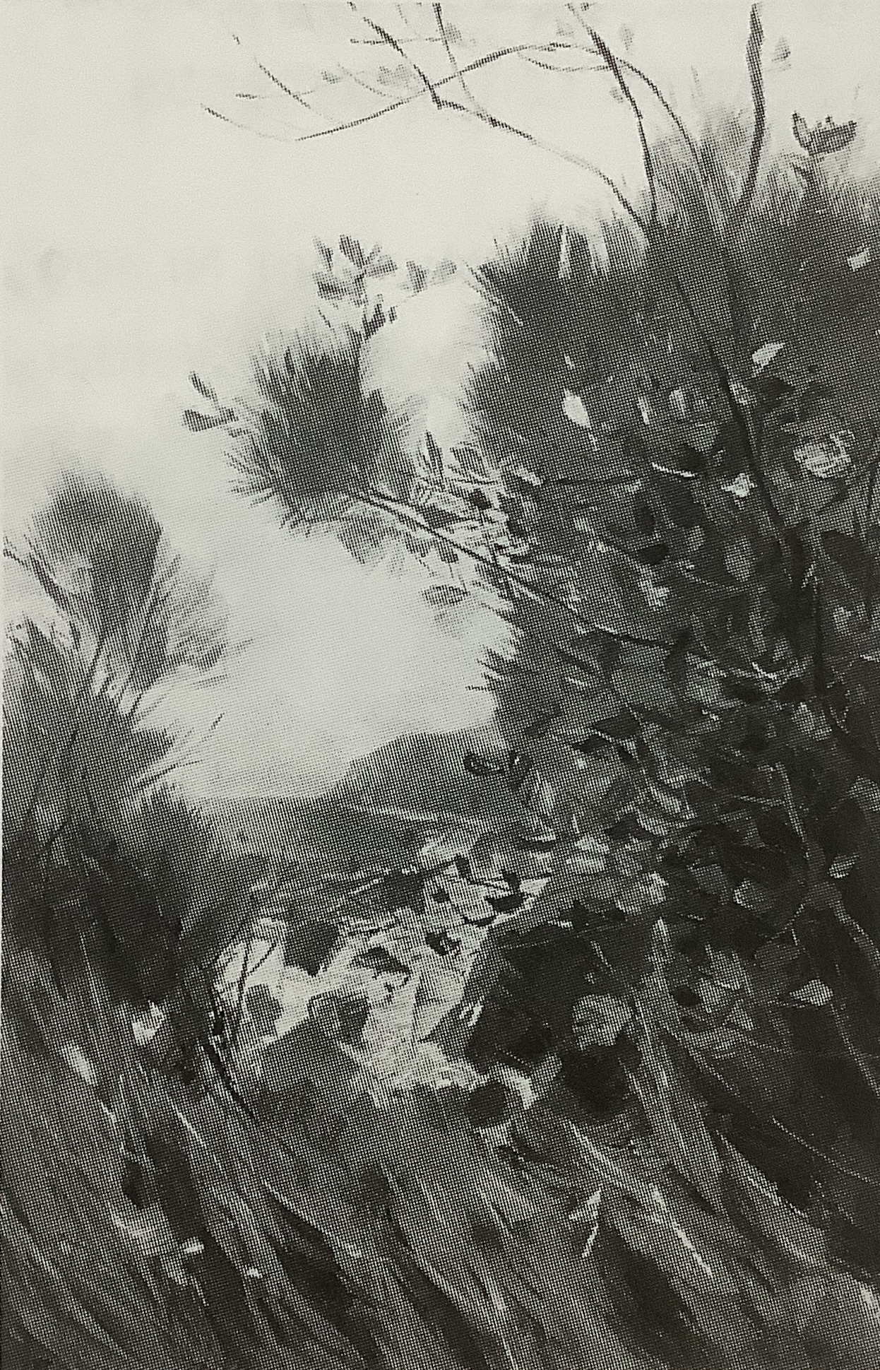 Uferpartie (Stubbenkammer), um 1914