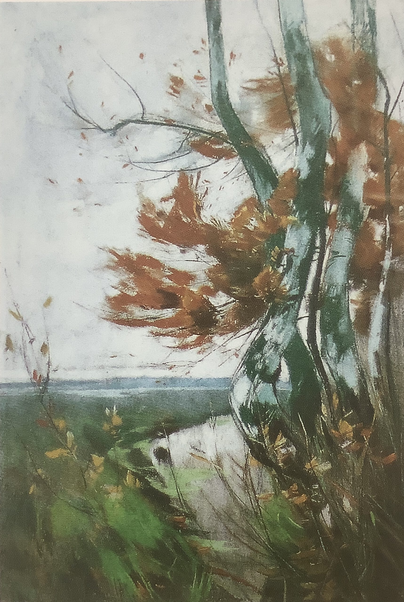 Vorfrühling - Birkengruppe am Ufer des Schwielowsees, um 1912