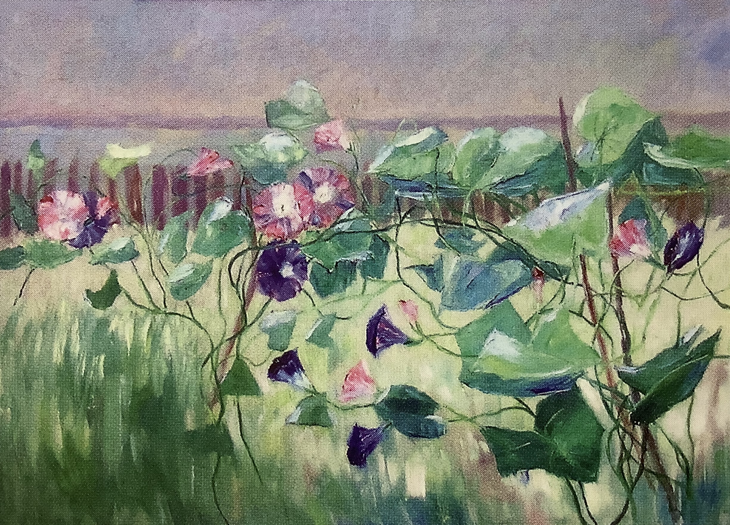 Wicken - Winden, um 1902