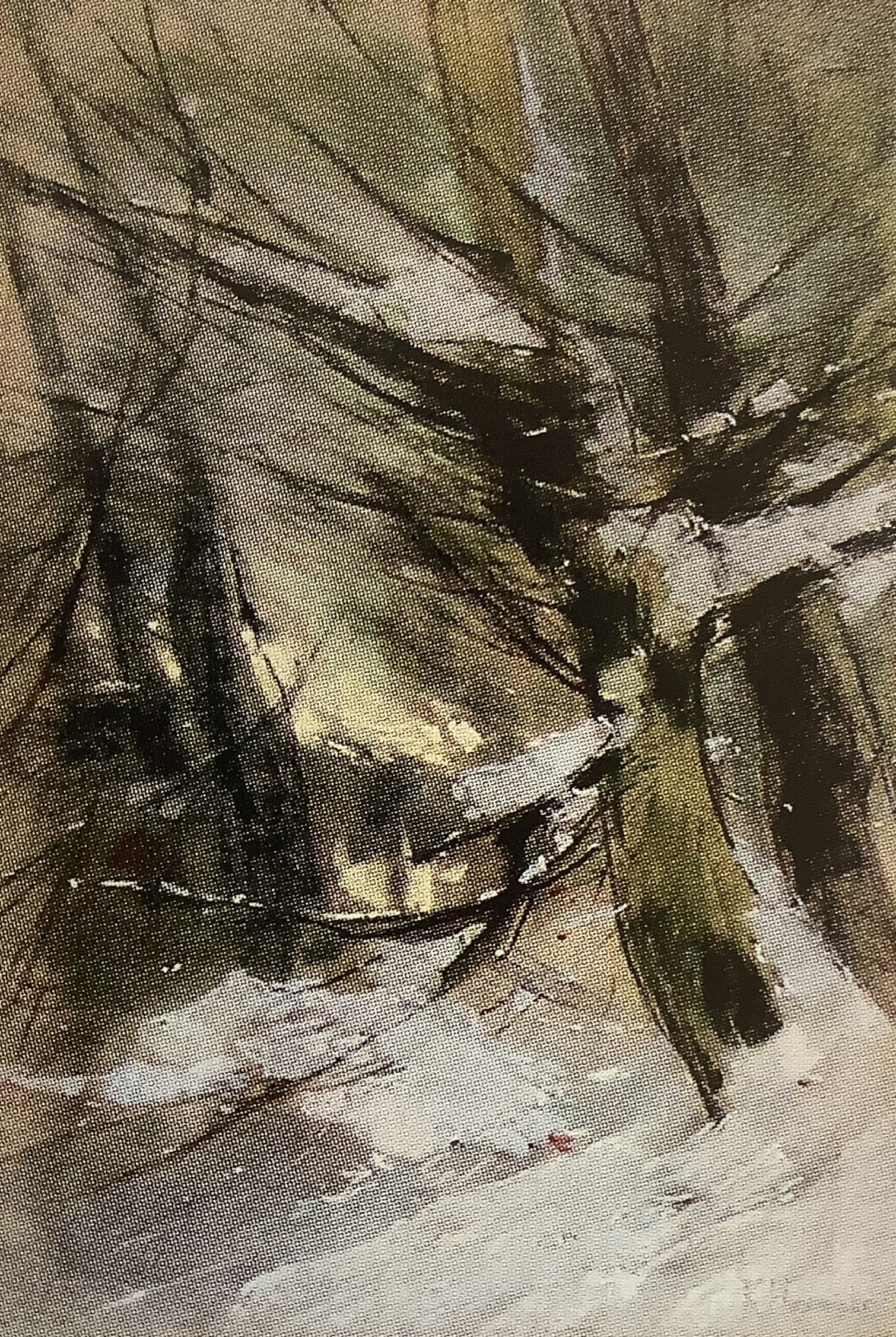 Winter an der Havel. Verschneite Äste und Baumstämme, um 1916