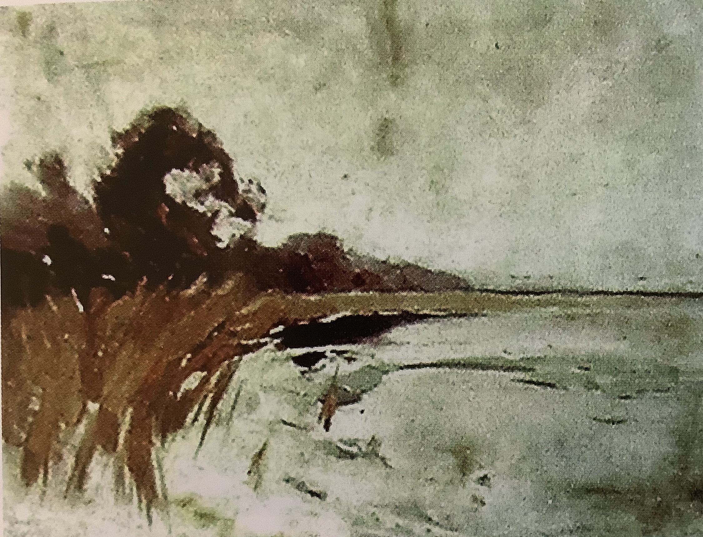 Winterlandschaft II, um 1895