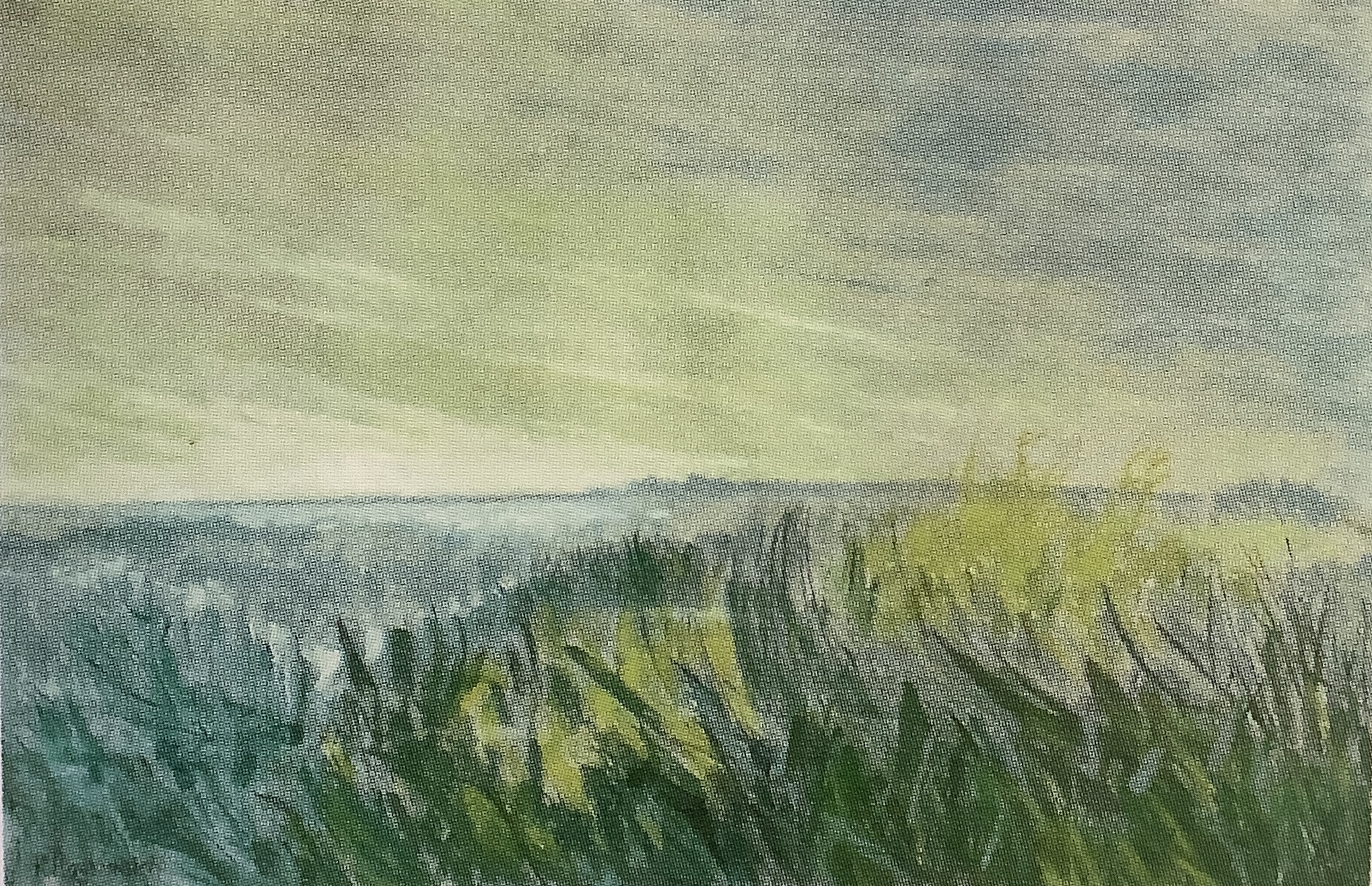 Wogende Wiese in der Mark, um 1903 Wogende Wiese in der Mark, um 1903
